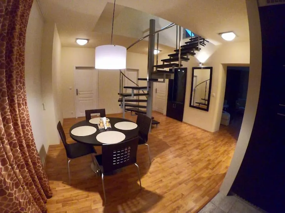 Huge Two Floor Apartment On The Park Colonnade With Free Parking For One Car, 160 Sqm Karlovy Vary